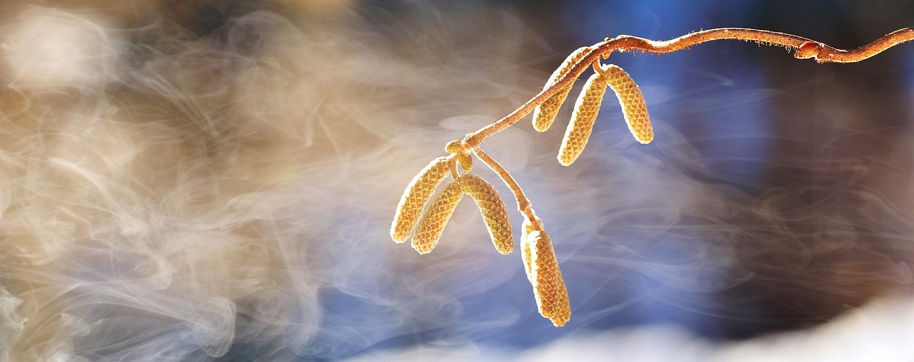 Come O3 Cube può trasformare il tuo frigorifero in 7 giorni