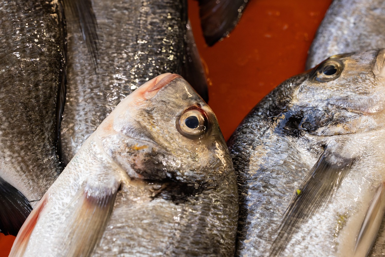 Test dei consumatori: l'impatto di O3 Cube sulla qualità dell'aria in frigo