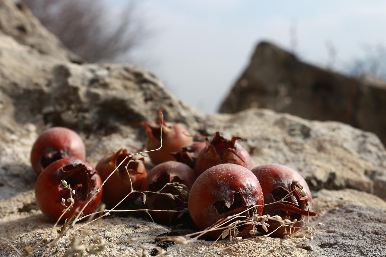 Test dei consumatori: quanto è davvero efficace O3 Cube nel combattere gli odori?